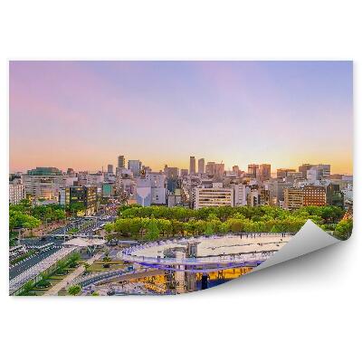 Fototapeta Nagoja město Japonsko budovy příroda