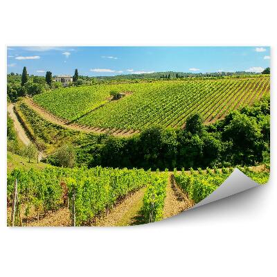 Fototapeta Louka květiny strom malba Toskánsko