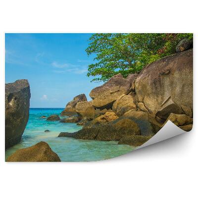 Fototapeta Thajsko tropické ostrovy stromy skály