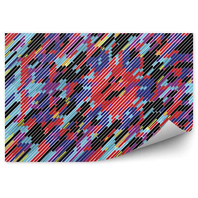 Fototapeta Barevné pruhy