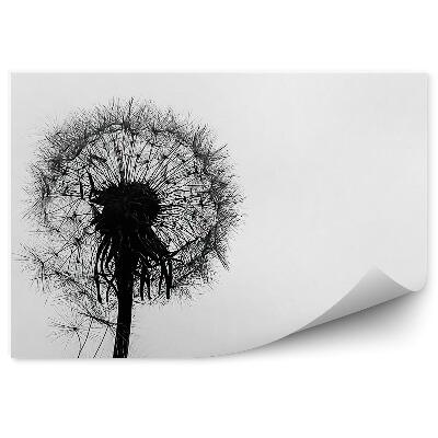 Fototapeta Kapky vody z pampelišky