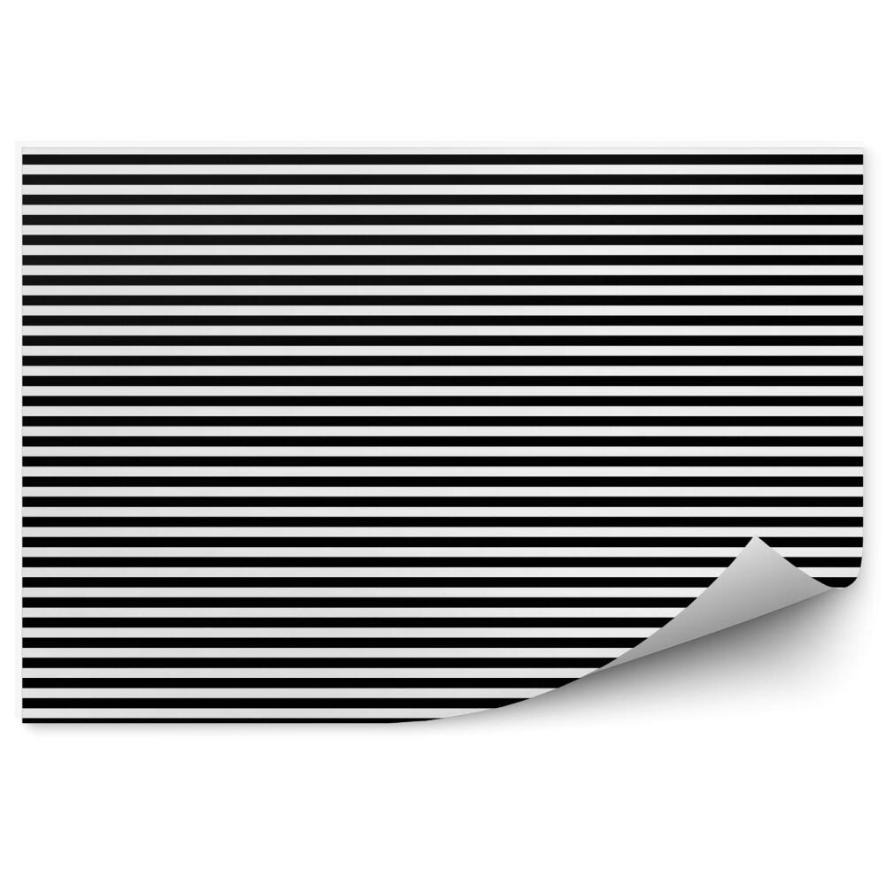 Samolepící fototapeta Černobílý pruhovaný horizontální vzor