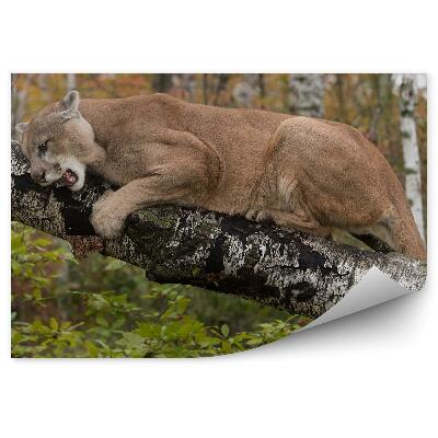 Samolepící fototapeta Puma stromy keře