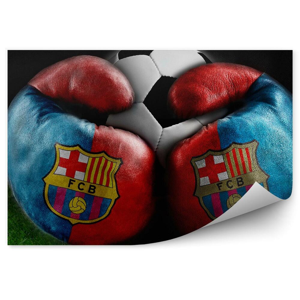 Fototapeta na zeď Box a fotbal Trávník FC Barcelona