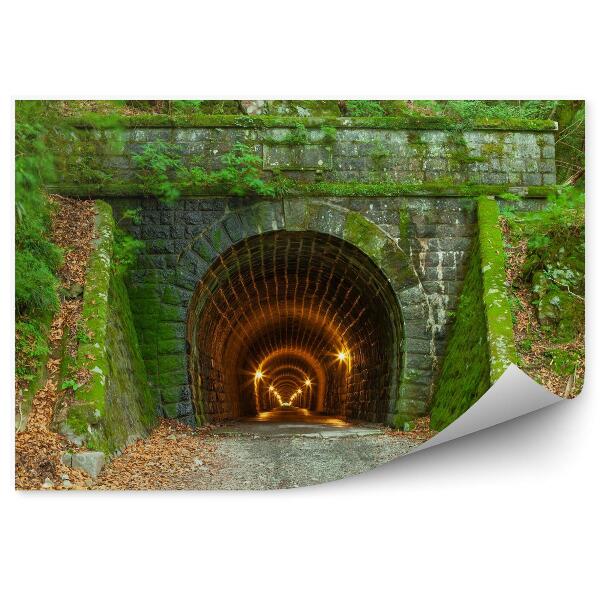 Fototapeta Betonový zarostlý tunel