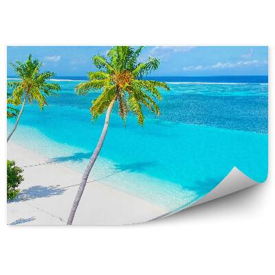 Fototapeta Písečná pláž palmy intenzivní barvy