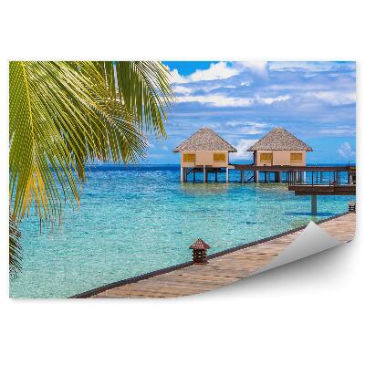 Fototapeta na zeď Palmy dům molo modrá voda Maledivy