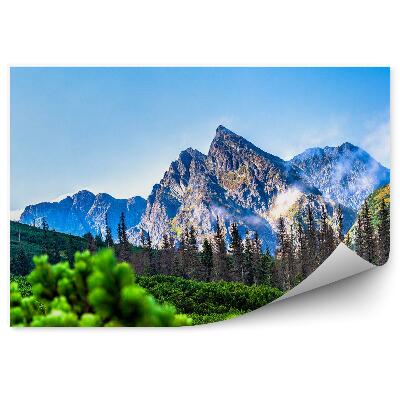 Samolepící fototapeta Hory skály jezero Morskie Oko palmy Tatry nebe mraky
