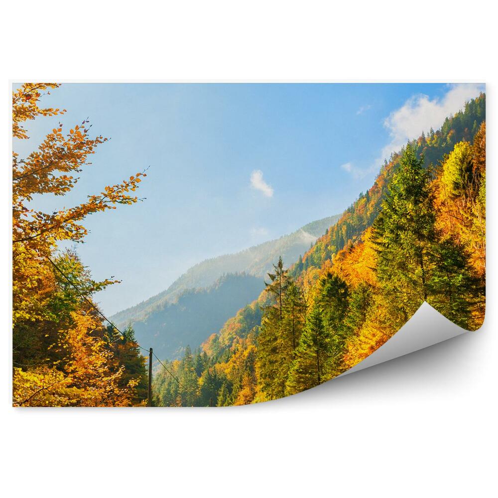 Fototapeta na zeď Podzimní hory Alpy stromy rostliny silnice nebe mraky