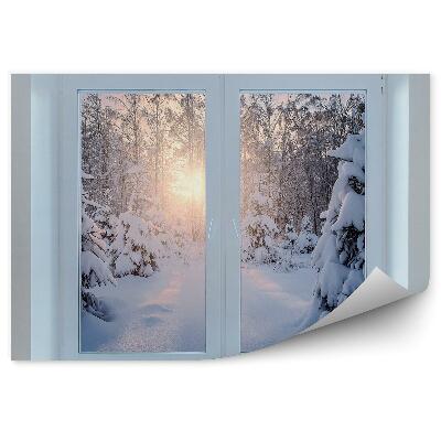 Fototapeta Okno zimního lesa