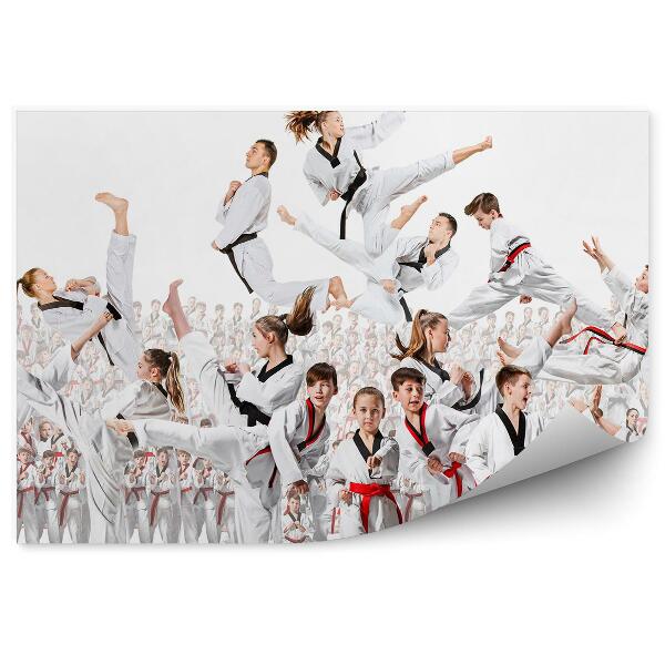 Fototapeta Dětská koláž karate