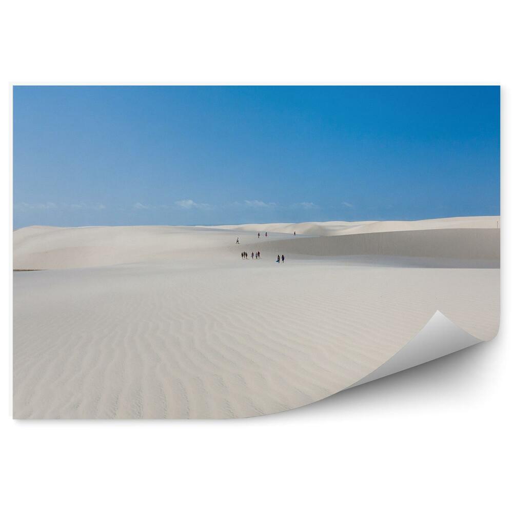 Samolepící fototapeta Duny tráva nebe skály