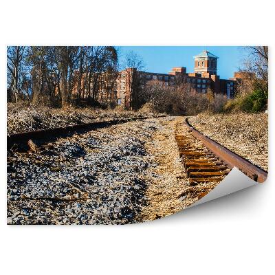 Fototapeta Zničené železniční koleje kameny tráva město