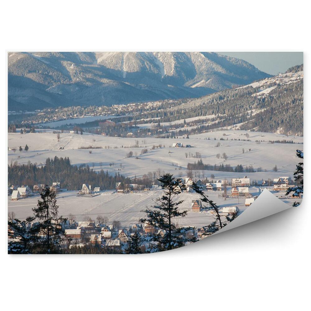 Fototapeta Pohled Zakopane domy hory stromy rostliny nebe mraky