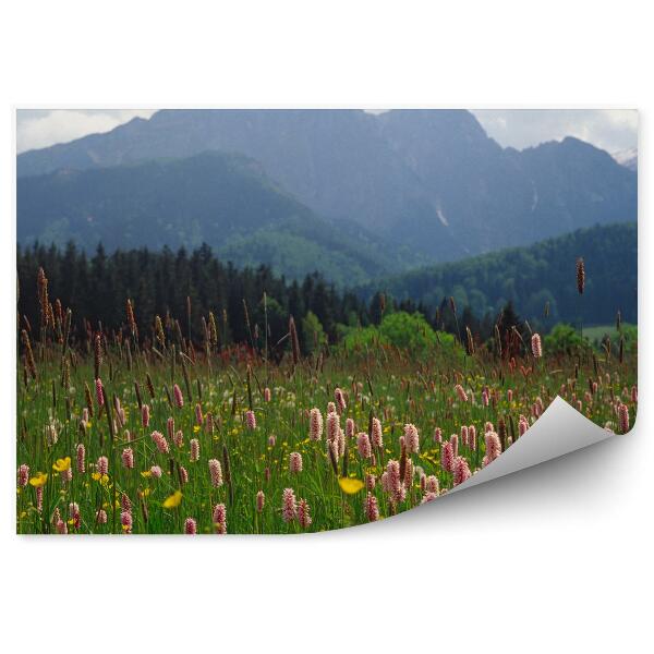 Tapeta Gubalowka panorama Zakopané hory sníh zima Tatry