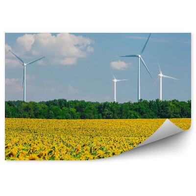 Fototapeta Pole slunečnic větrné mlýny stromy obloha mraky květiny