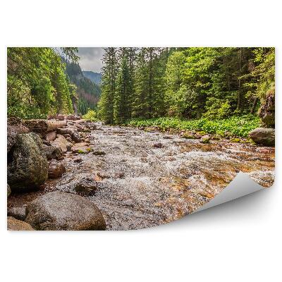 Fototapeta Malý potok skály lesní stromy Košťáliské údolí