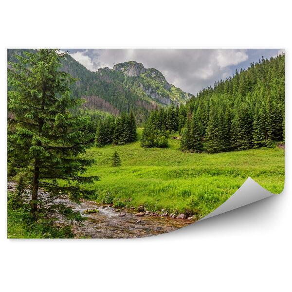 Samolepící fototapeta Zelené údolí potoka Tatry