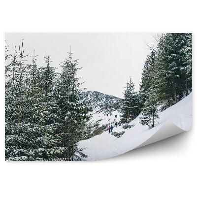 Fototapeta Hustý jehličnatý les Zakopané