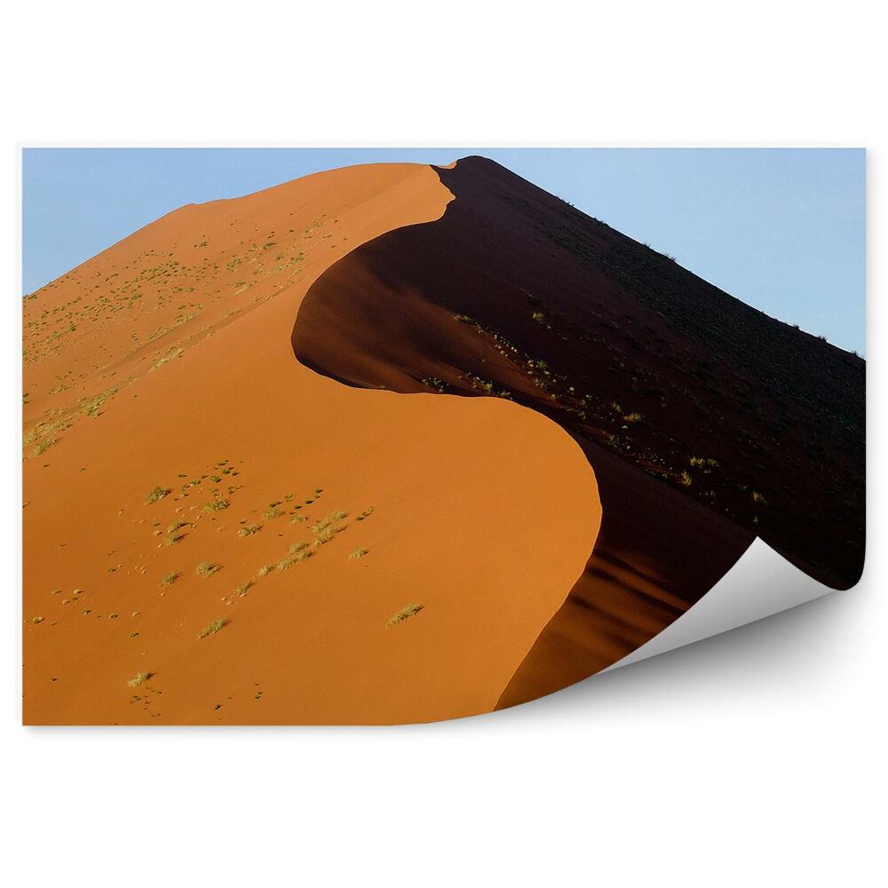 Fototapeta na zeď Písečné duny Afrika poušť