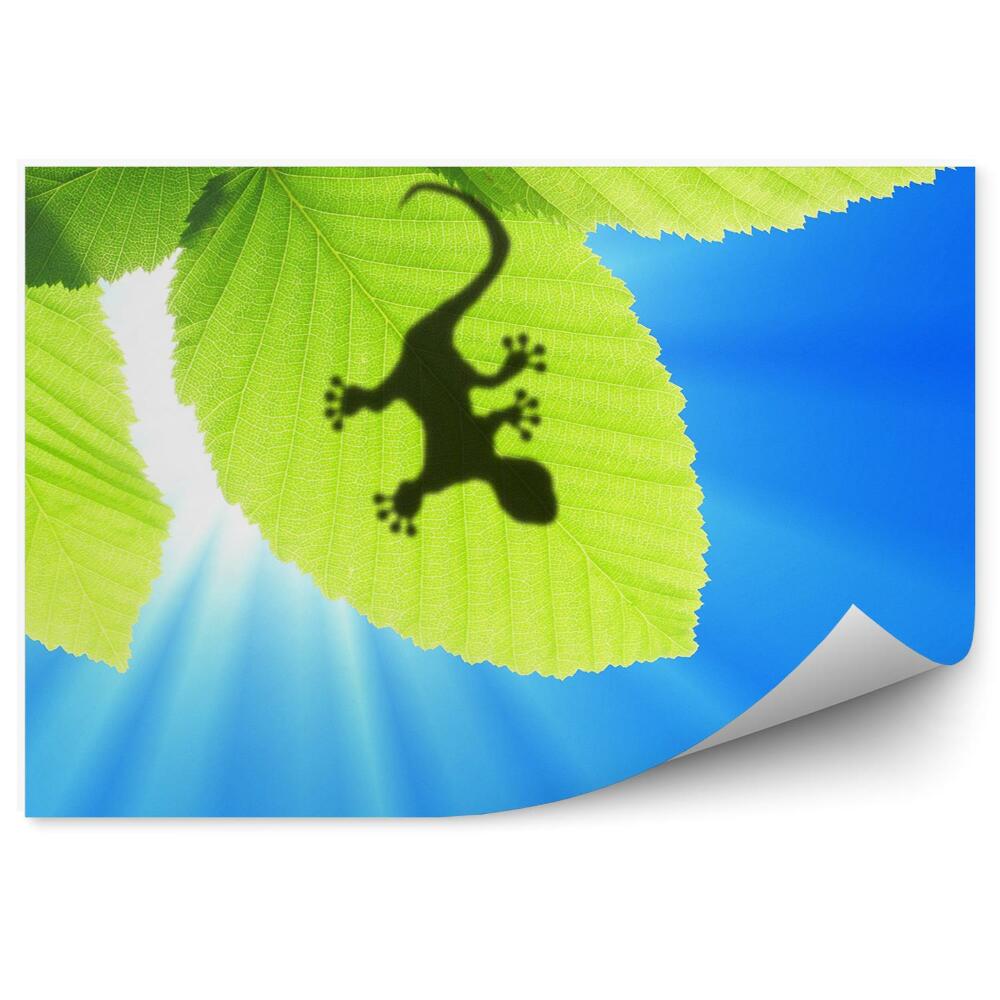 Fototapeta Gecko na zelených listech perspektiva oblohy