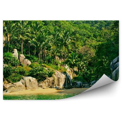 Fototapeta na zeď Mexiko pláž příroda palmy skály dřevěné schodiště