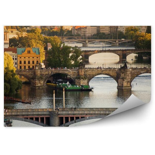 Fototapeta Praha Vltava mosty architektura budovy