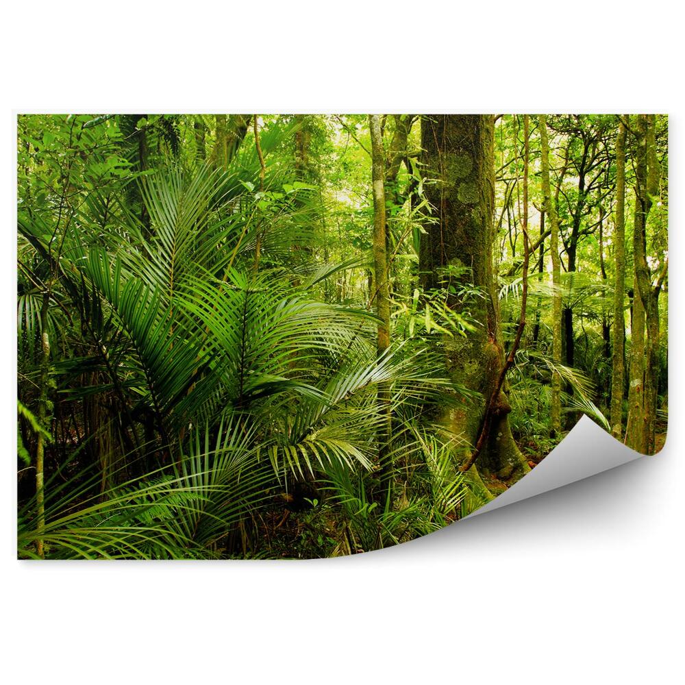 Samolepící fototapeta Hluboké tropické lesní keře zanechávají zeleň