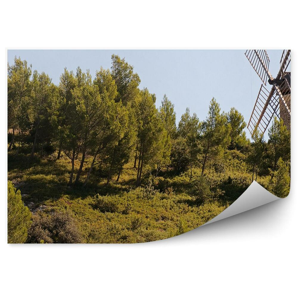 Fototapeta Kvetoucí levandulové pole západ slunce Provence Francie