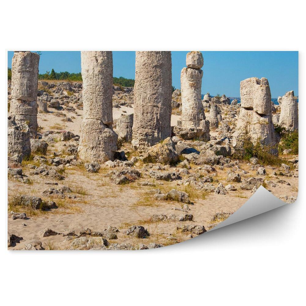 Fototapeta Skály sloupy písek tráva rostliny nebe