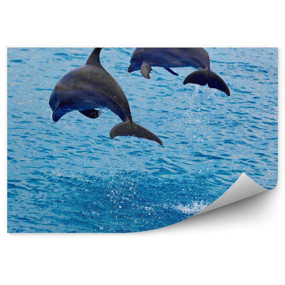 Samolepící fototapeta Skákající delfíni