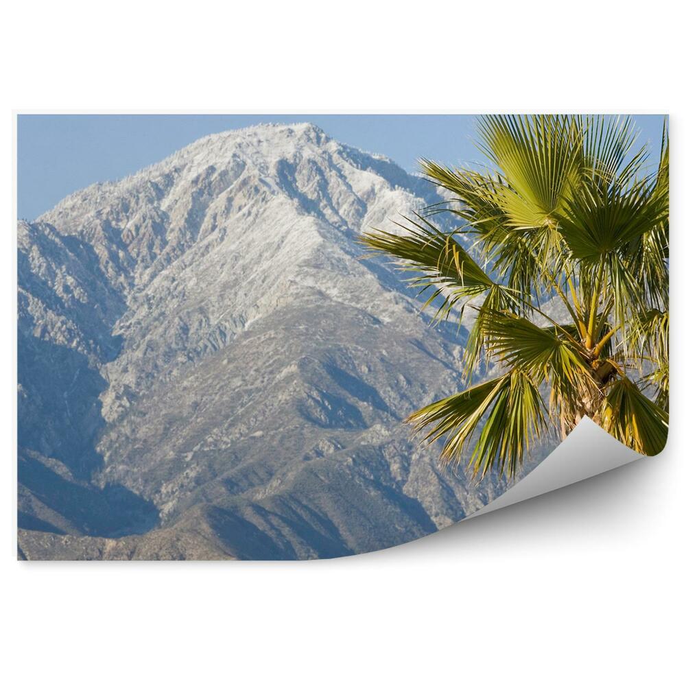 Fototapeta na zeď Palma na pozadí zasněženého vrcholu