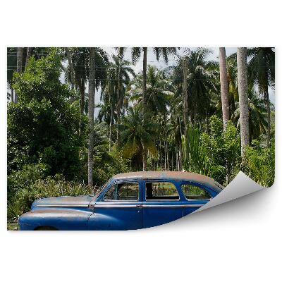 Fototapeta na zeď Kuba vegetace palmy historické auto