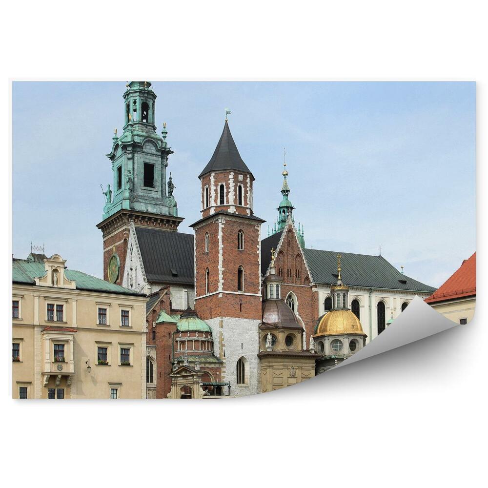 Fototapeta Socha královského hradu Krakov