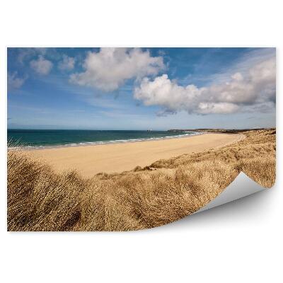 Fototapeta Plošina pláž tráva oceán obloha mraky