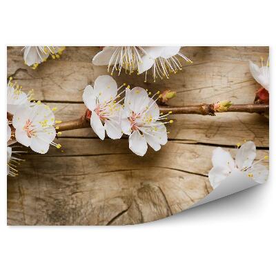 Fototapeta Květ jabloně ležící na dřevě