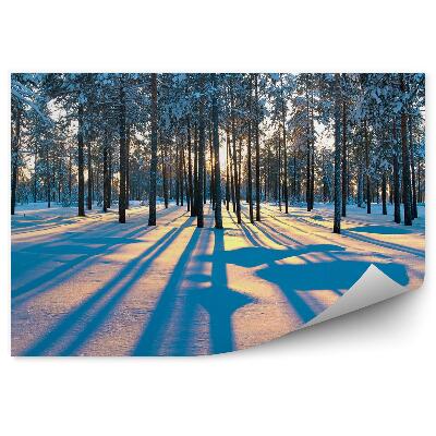 Fototapeta Zimní les východ slunce