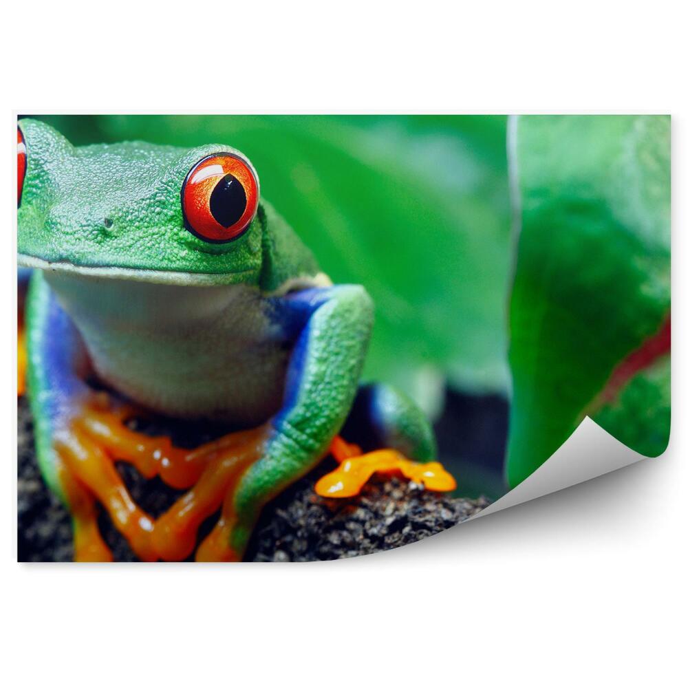 Fototapeta Šipka červenooká na větvičce