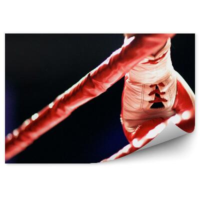 Samolepící fototapeta Rukavice na boxerský ring
