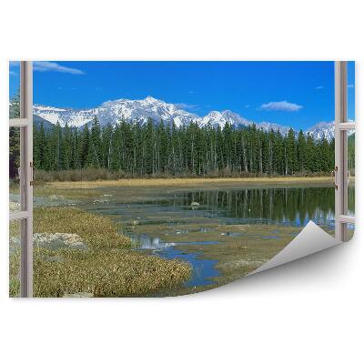 Fototapeta Vánoční stromek les otevřené okno pohled na hory