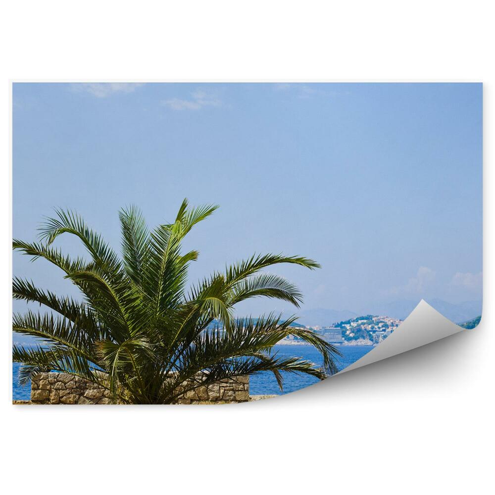 Samolepící fototapeta Pláž pláž voda skály palma