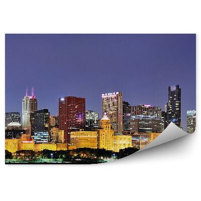 Fototapeta Chicago noční panorama mrakodrapy světla