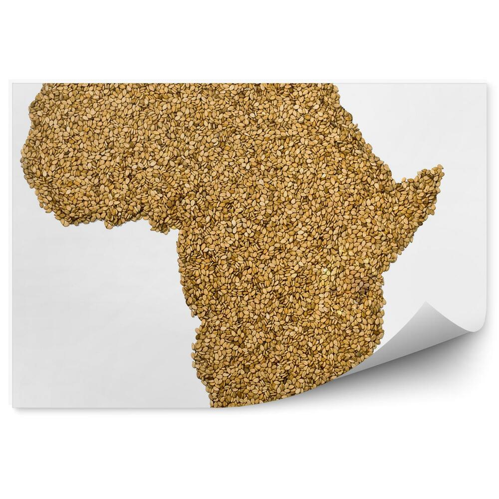 Fototapeta na zeď Obrys mapy Afriky