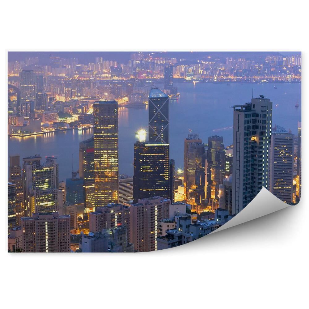 Samolepící fototapeta Hongkong mrakodrapy stromy rostliny světlo záliv noc