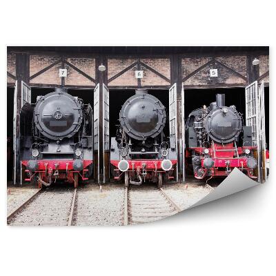 Fototapeta Parní lokomotivy