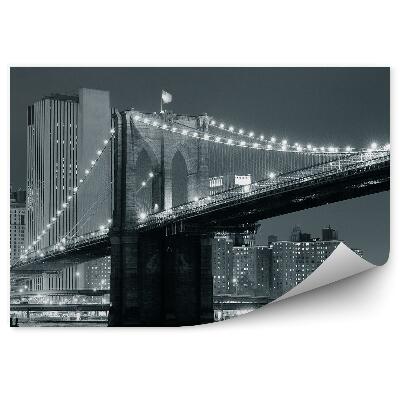 Fototapeta na zeď USA most černobílá fotografie řeka