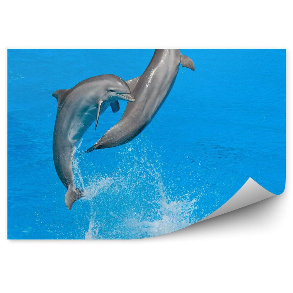 Fototapeta na zeď Delfíni v delfináriu