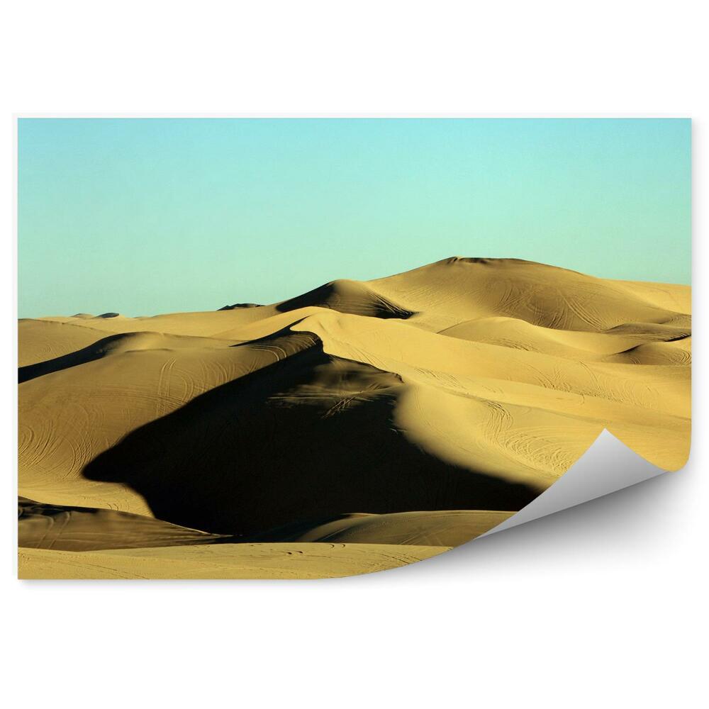 Samolepící fototapeta Dunes pouštní tráva nebe