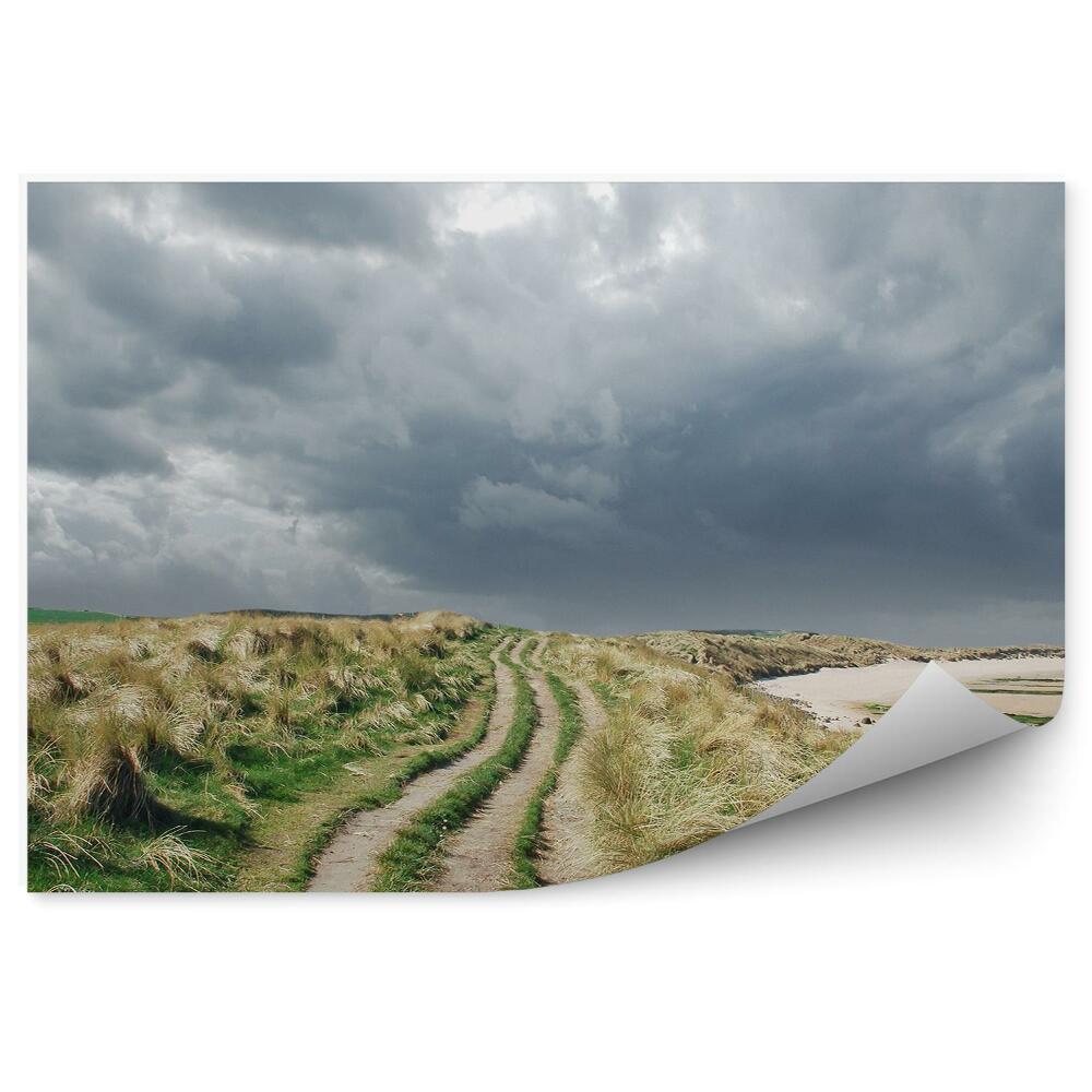 Fototapeta Travnatá cesta se zataženou oblohou