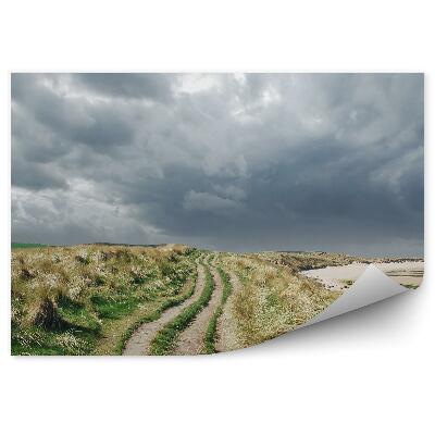 Fototapeta Travnatá cesta se zataženou oblohou